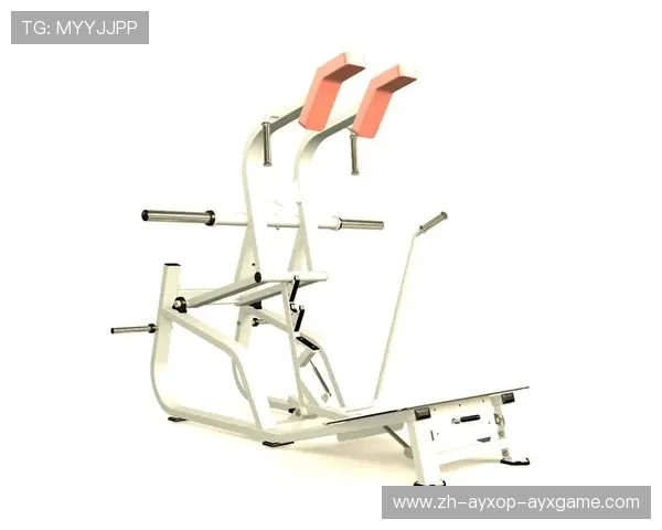 高效练腰肌必备十大健身器材推荐清单